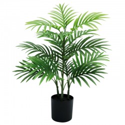 Palmu ruukussa 60 cm