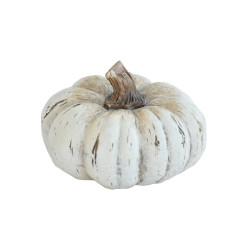 Kurpitsa 9 cm